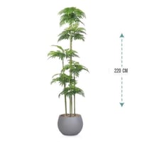 شجر نخل 6 فرع حوض فيبر 220سم : 575-528-3