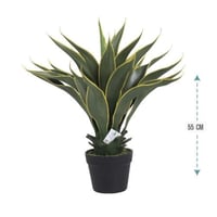 شجر صبار بحواف اصفر 55 سم : 152-1