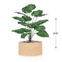 شتلة ورق قلب اخضر حوض بلاستيك زاوية 95 سم : 78915-...