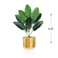 شتلة ورق موز 12 فرع حوض بلاستيك 65 سم : 78912-22T