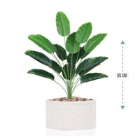 شتلة ورق موز 18 ورقة حوض بلاستيك زاوية 95 سم :7891...