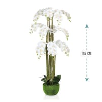 شجر ورد اوركيد 145 سم : 492