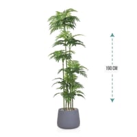 شجر نخل 6 فرع حوض فيبر 190 سم : 576-521