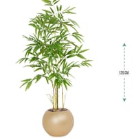 شجرة بابو حوض بلاستيك