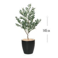 شجر زيتون وسط حوض بلاستيك:3480-2035R