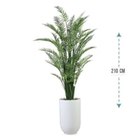 شجر نخل اريكا حوض فيبر 210 سم : 2720-533