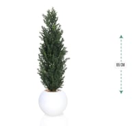 شنلة حوض بلاستيك