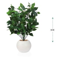 شجرشتلة حوض بلاستيك