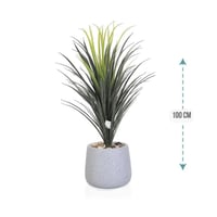 شجر صبار وسط مركن فيبر ارتفاع 100 سم : 1019-521