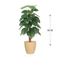 شجر ورق قلب 1 فرع ارتفاع 140سم: 870-2040R