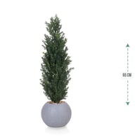 شنلة حوض بلاستيك