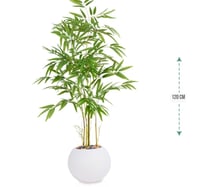 شجرة بابو حوض بلاستيك