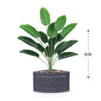 شتلة ورق موز 18 ورقة حوض بلاستيك زاوية 95 سم :7891...