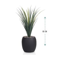 شجر صبار حوض فيبر بيضاوي ارتفاع 80 سم : 8110-542