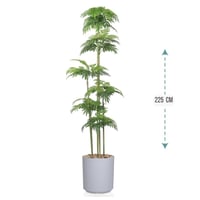 شجر نخل 6 فرع حوض بلاستيك 225سم : 575-2020GL-R