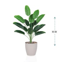 شتلة ورق موز 18 ورقة حوض بلاستيك 90 سم : 78913-203...