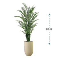 شجر نخل اريكا حوض فيبر 210 سم : 2720-533