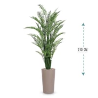 شجر نخل اريكا حوض بلاستيك 210 سم : 2720-GT001R