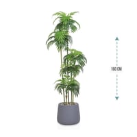 شجر نخل 5 فرع حوض فيبر 160 سم : 577-521