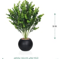 شجرشتلة حوض بلاستيك