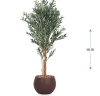 شجرة زيتون حوض بلاستيك