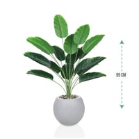 شتلة ورق موز 18 ورقة حوض فيبر 95 سم :78913-516