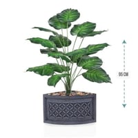 شتلة ورق قلب اخضر حوض بلاستيك زاوية 95 سم : 78915-...