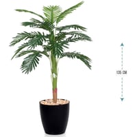 شجرنخل وسط حوض بلاستيك