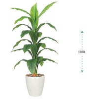 شجرة اخضر حوض بلاستيك