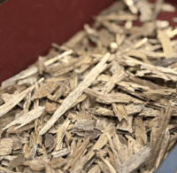 مروكي آصقون (فصفص)