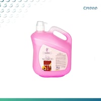 بكچ الصالونات (1)