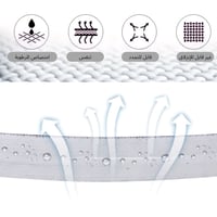 ربطة فن باند