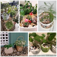 احجار زينة ملون مشكل بالرماديات و البيجي و الزيتي...