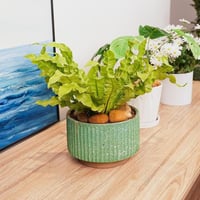 حجر زينة متوسط و كبير الحجم مصقول لامع مزخرفة و مص...