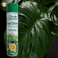 ملمع النباتات الطبيعية و الصناعية الداخلية 650 ميل...