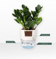 أوعية الري الذاتي للنباتات