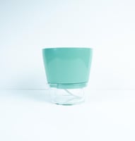 أوعية الري الذاتي للنباتات