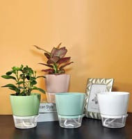 أوعية الري الذاتي للنباتات