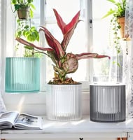 وعاء زراعة مائية كريستالي