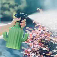 بخاخ رذاذ الصباريات