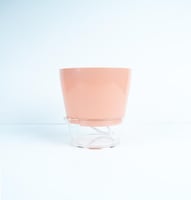 أوعية الري الذاتي للنباتات