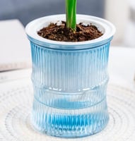 وعاء ري الذاتي