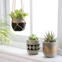 مركن إسمنتي مخطط بالاسود