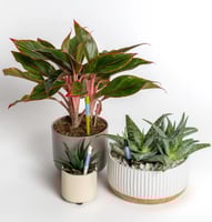 مقياس رطوبة التربة الذكي