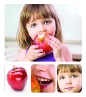 حقيبة تكوين الجملة