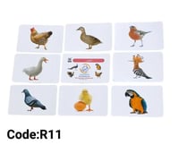 كروت ضمنية – الطيور