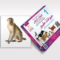 بطاقات الكلام الذكى