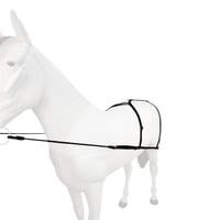 جهاز عسف للخيل