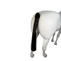 لطاشة ذيل (رباط واقي)