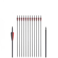 سهم رأس مدبب قابل للتغيير